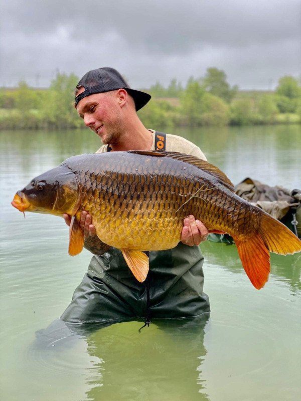 Pêche à la Carpe en rivière  la sarthe 